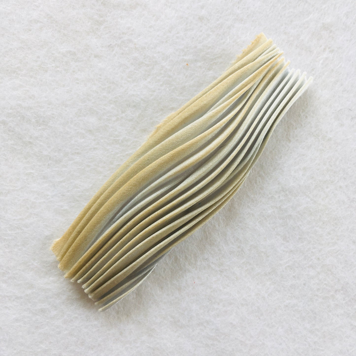 Shibori jäägid